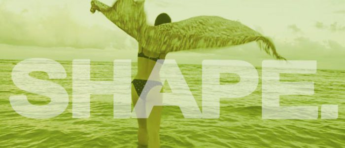 Shape-NEW